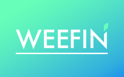 Mais qu’est-ce qui se cache derrière les nouvelles couleurs de WeeFin ?